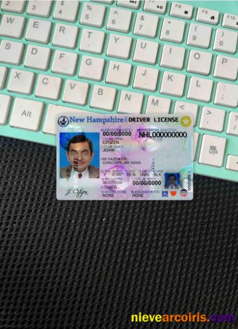 USA New hampshire driving license photolook